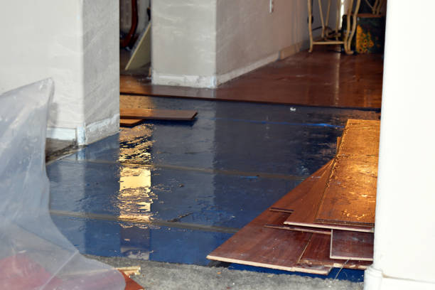 Professional Flood Damage Repair technician working in West Middlesex, PA